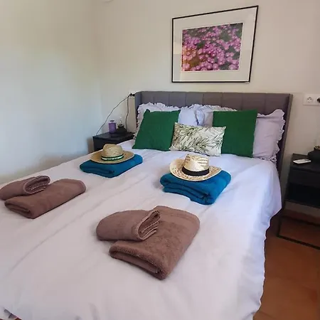 Casa Olivar 4* Tocon
