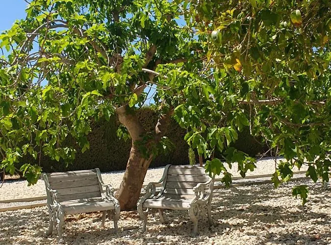 B&B Casa Olivar