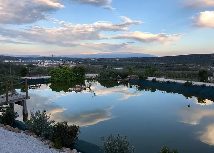 B&B Casa Olivar 4*