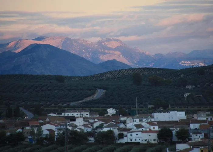 B&B Casa Olivar