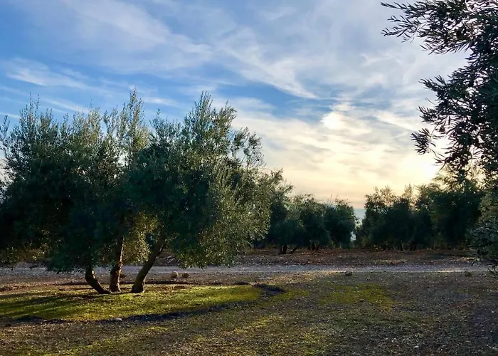 B&B Casa Olivar 4*