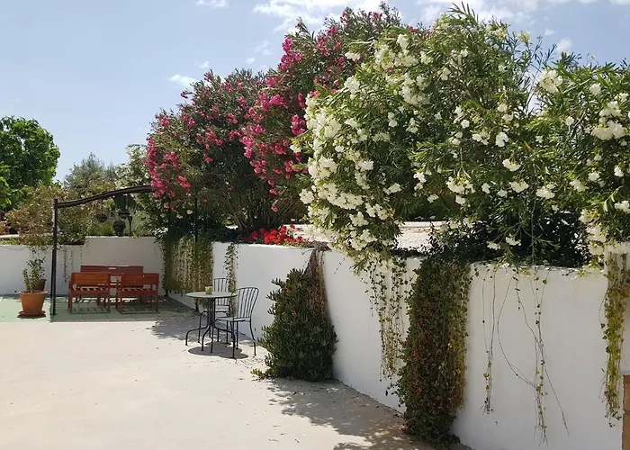 Casa Olivar B&B