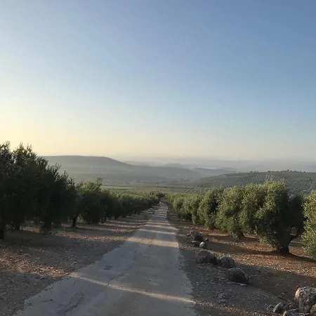 Casa Olivar فندق مبيت وإفطار