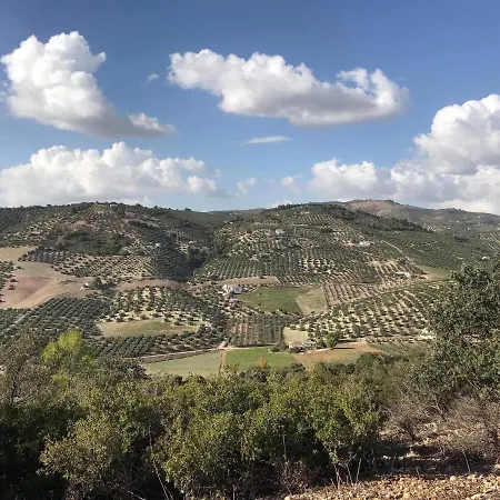 Casa Olivar Nocleg ze śniadaniem 4*